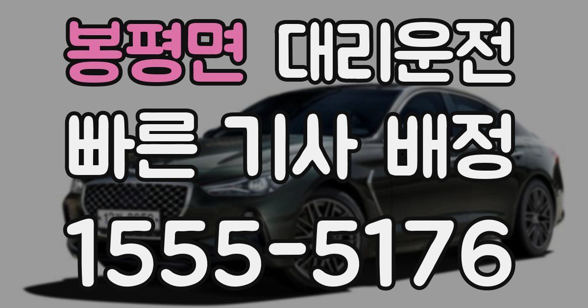 일일대리기사