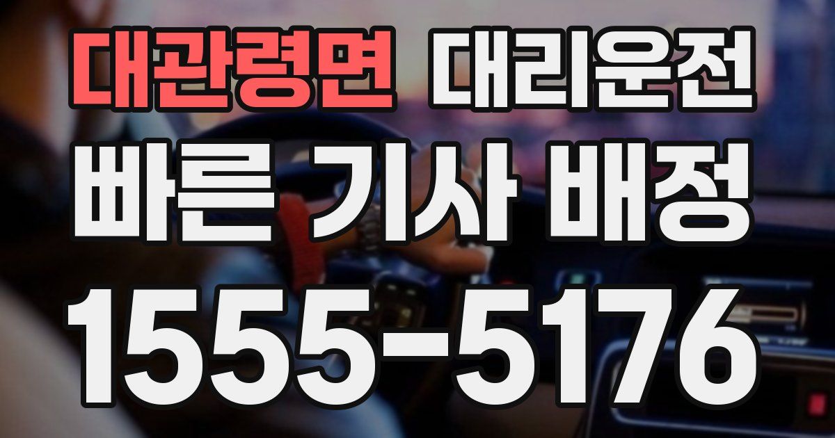 일일대리기사