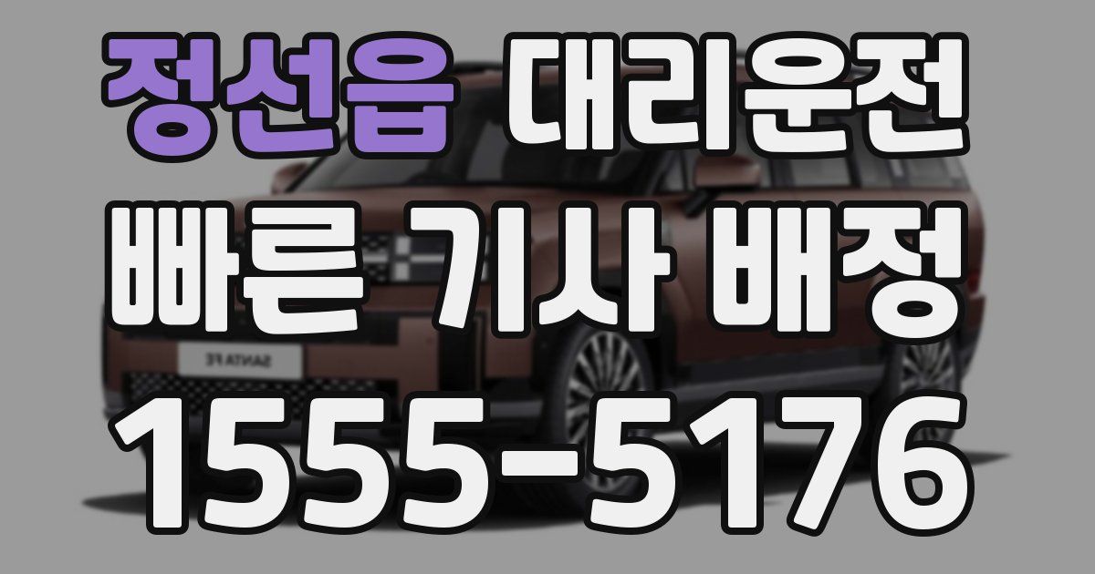일일대리기사