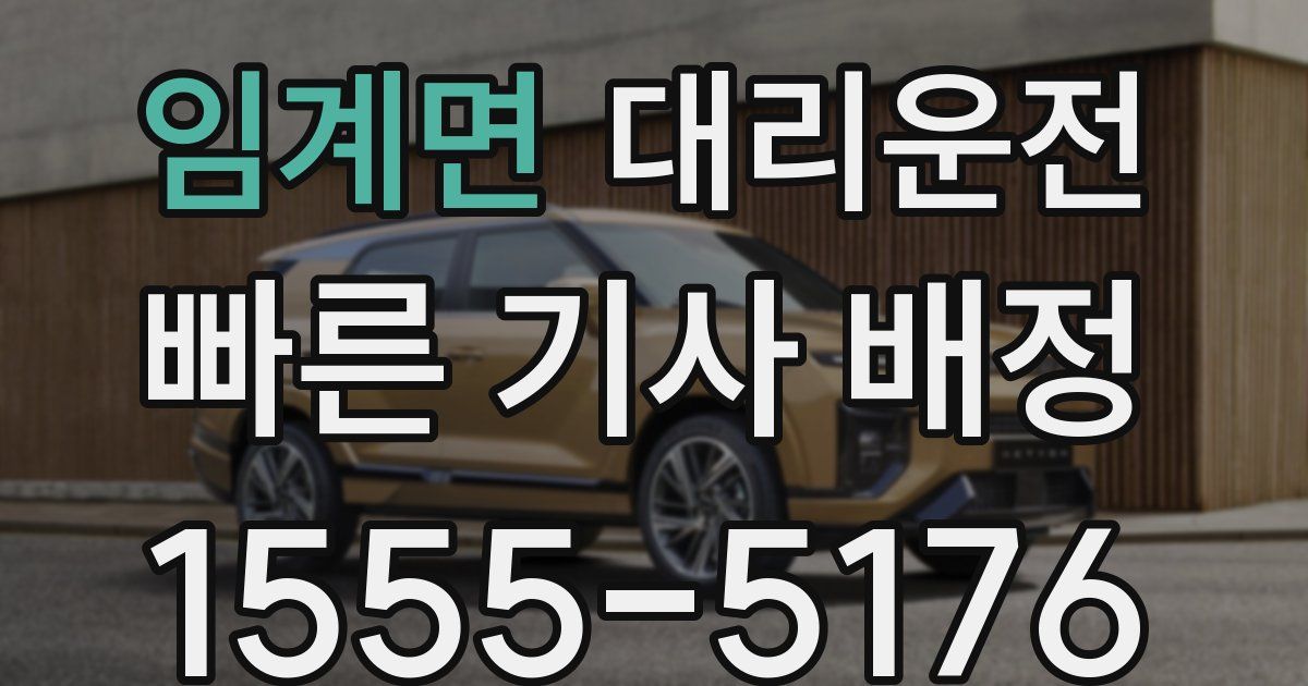 일일대리기사