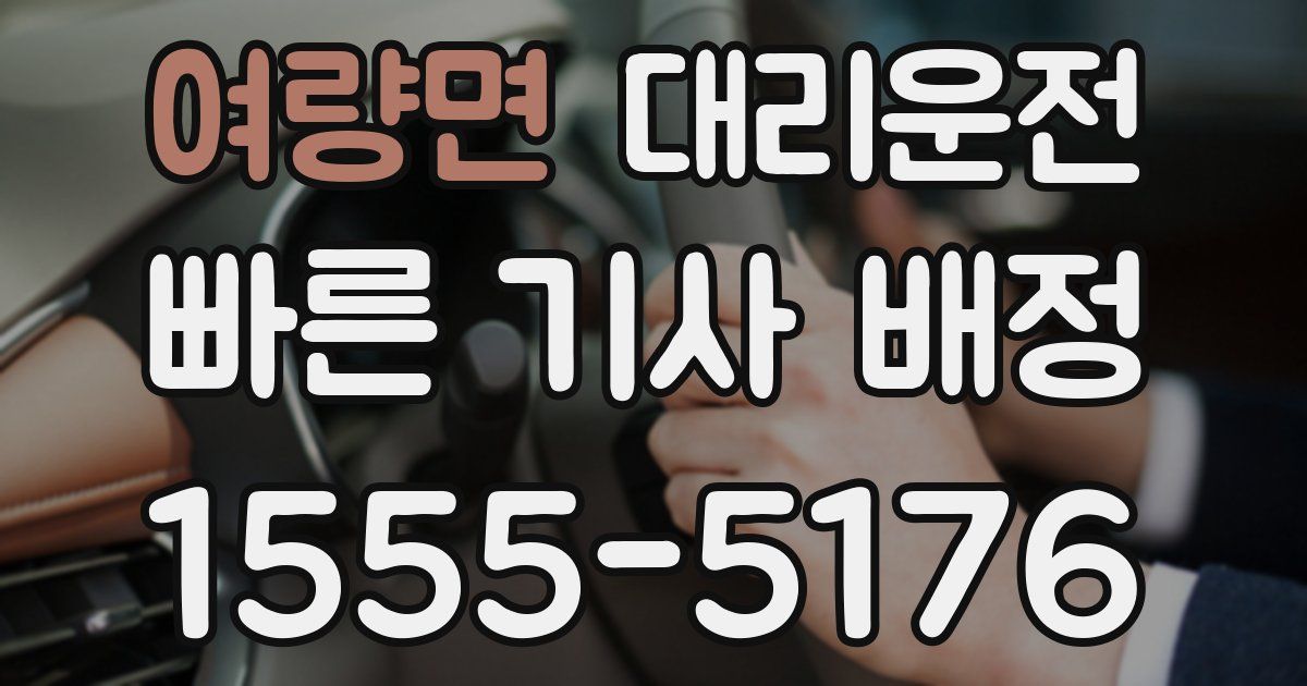 일일대리기사