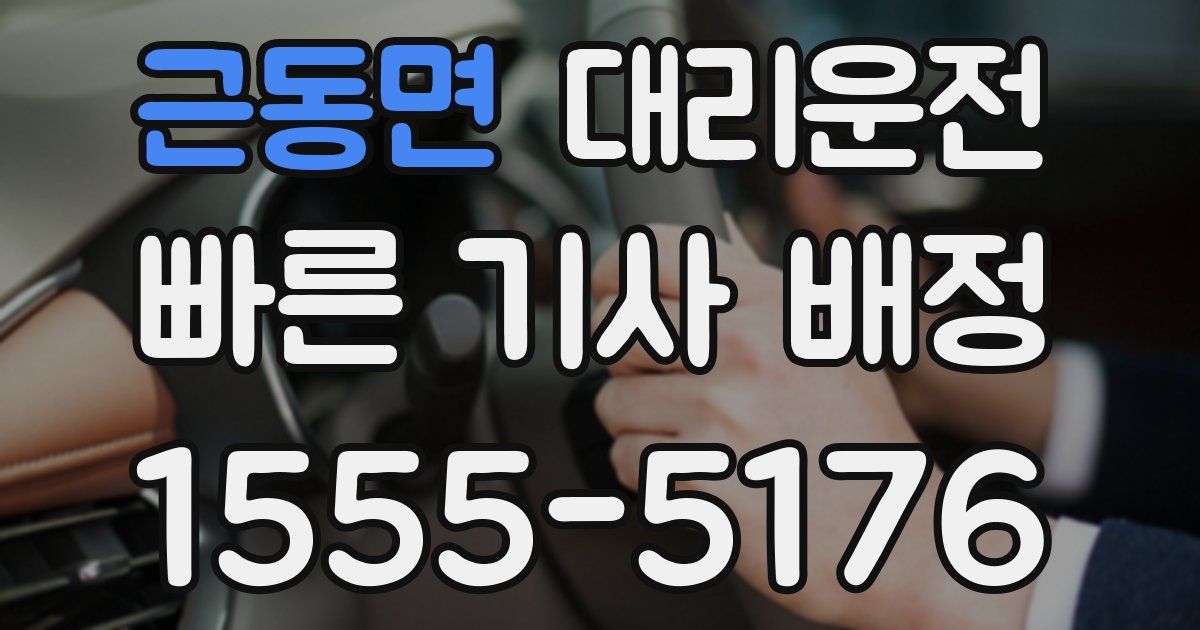 일일대리기사