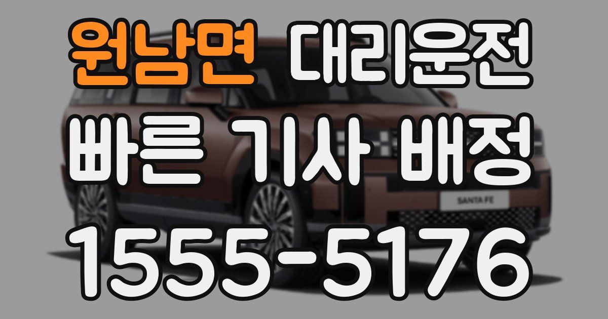일일대리기사
