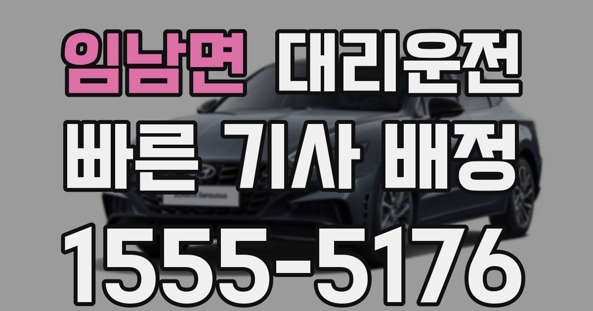 일일대리기사