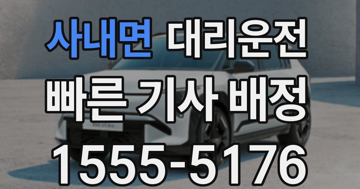 일일대리기사