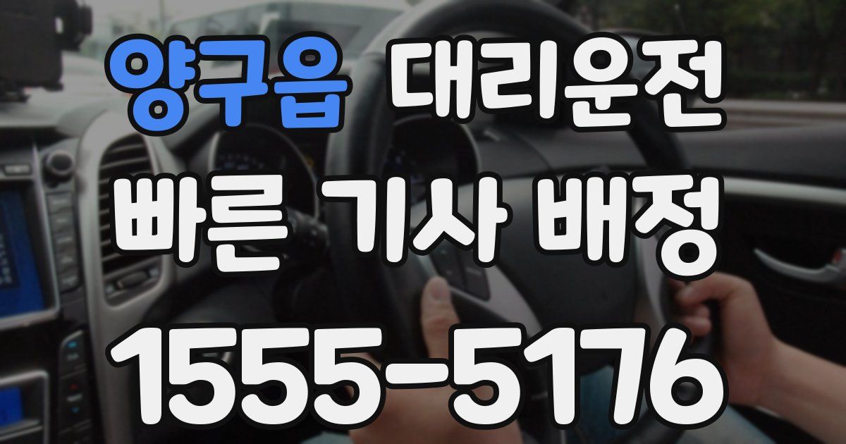 일일대리기사