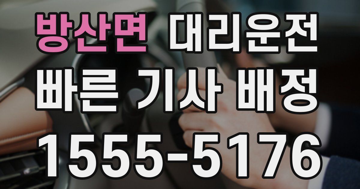 일일대리기사