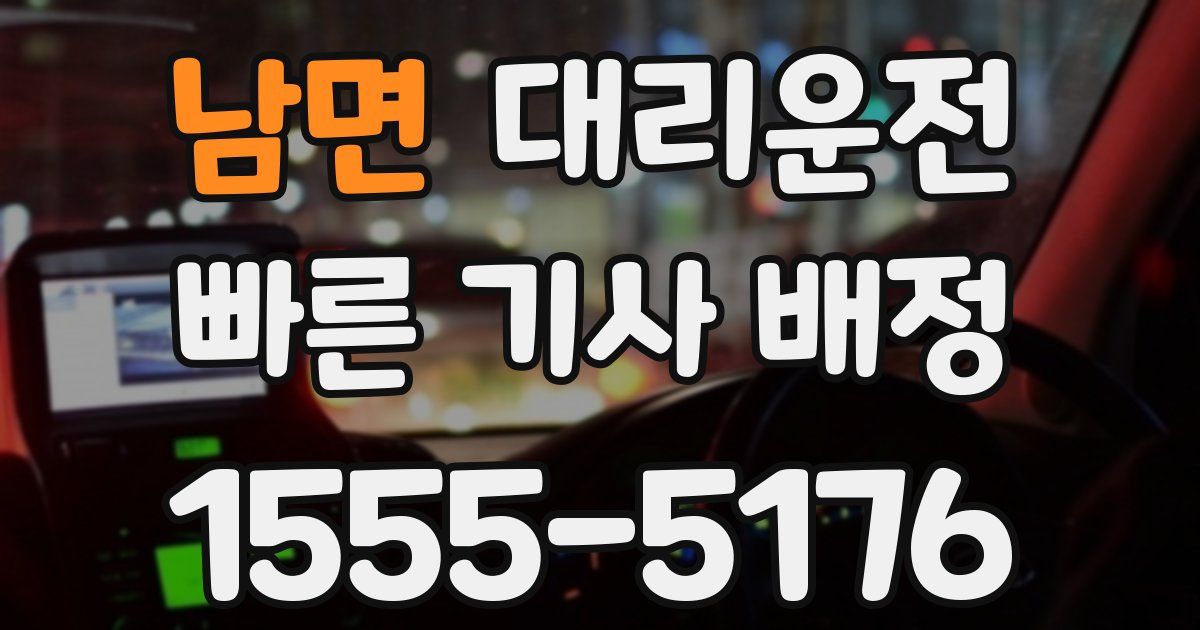 일일대리기사