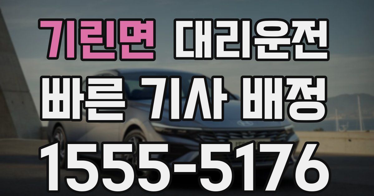 일일대리기사