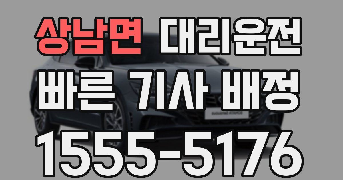 일일대리기사