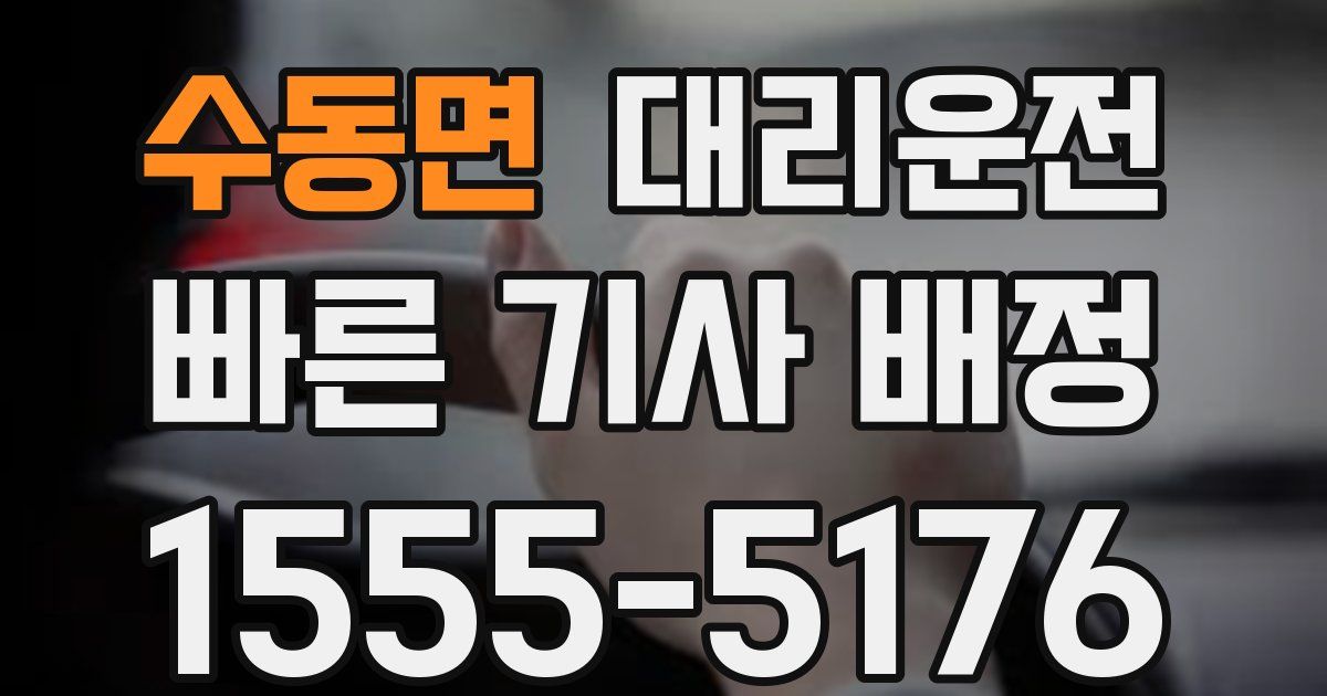 일일대리기사
