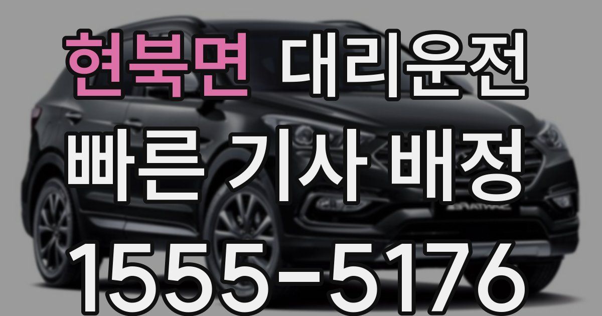 일일대리기사