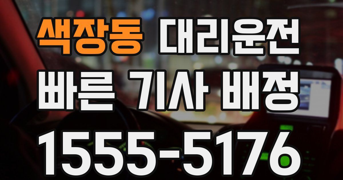 일일대리기사
