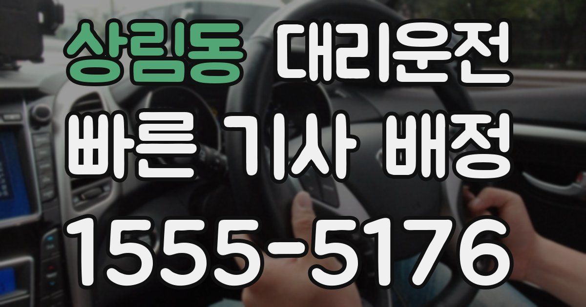 일일대리기사
