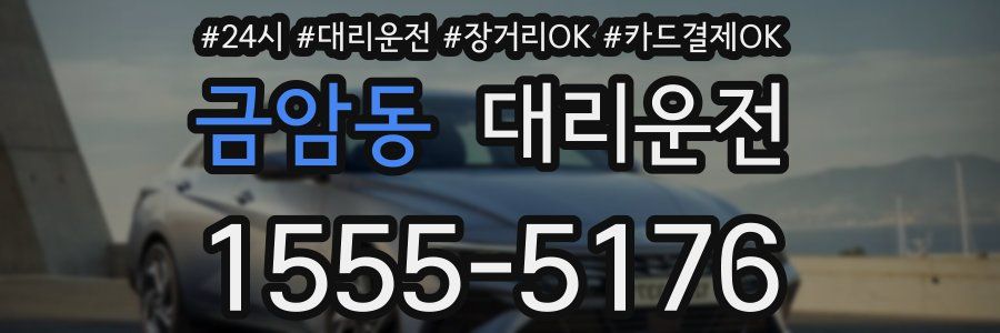 금암동 대리운전
