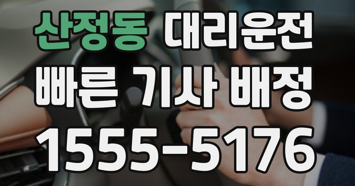 일일대리기사