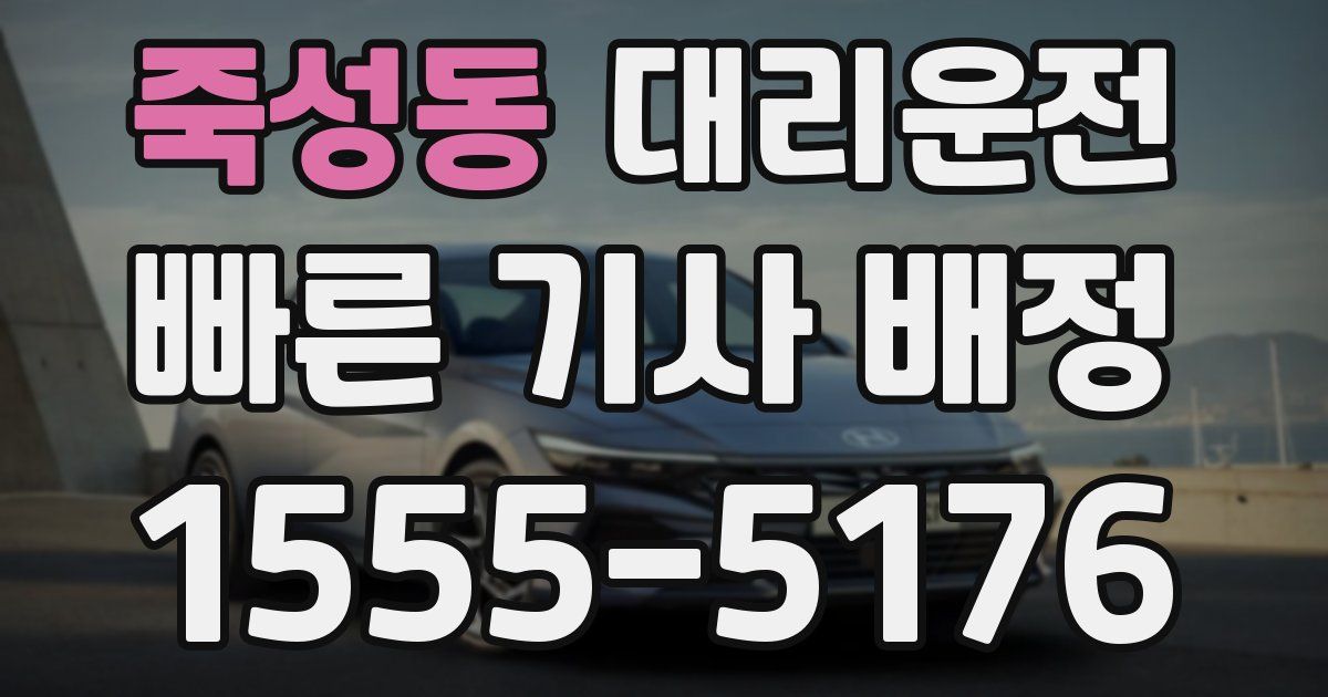 일일대리기사