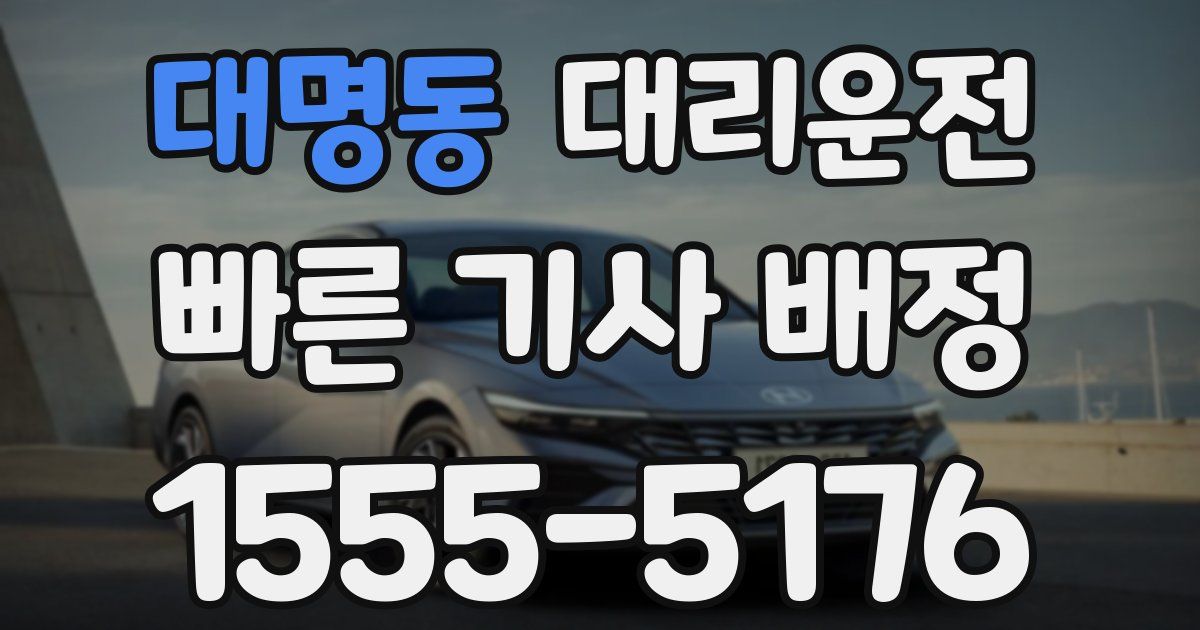 일일대리기사