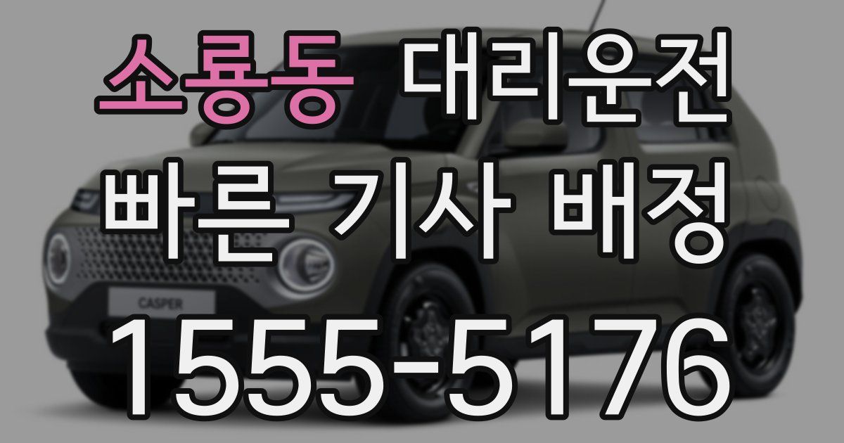 일일대리기사