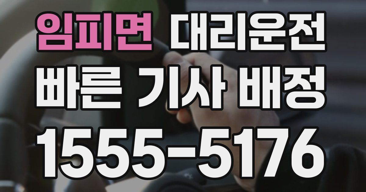 일일대리기사