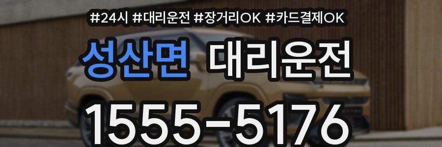 성산면 대리운전