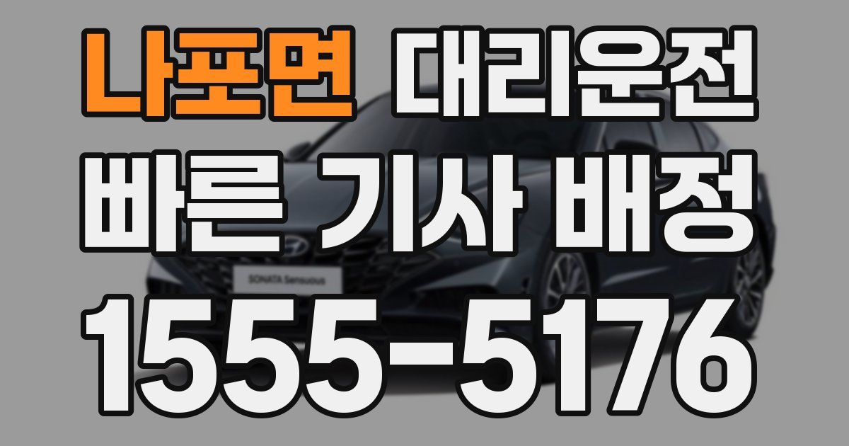일일대리기사