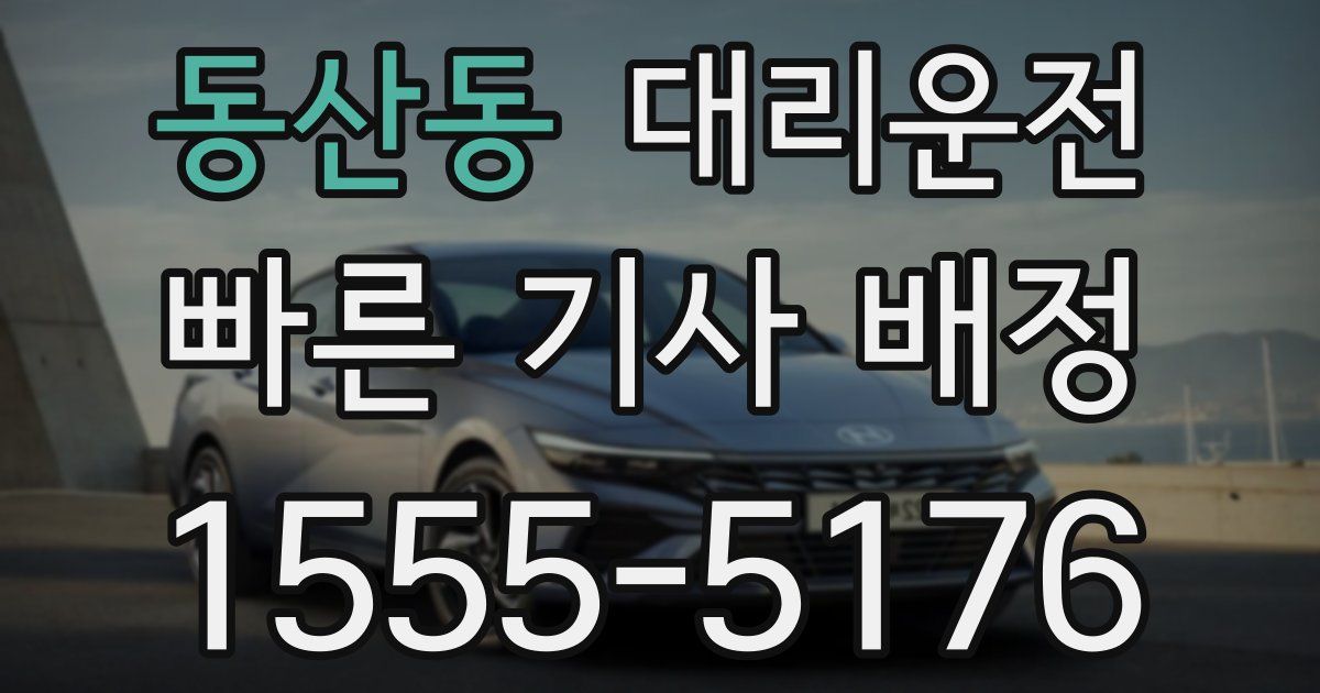 일일대리기사