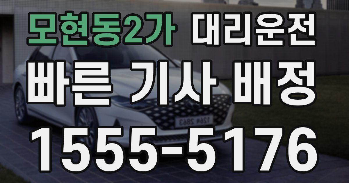 일일대리기사