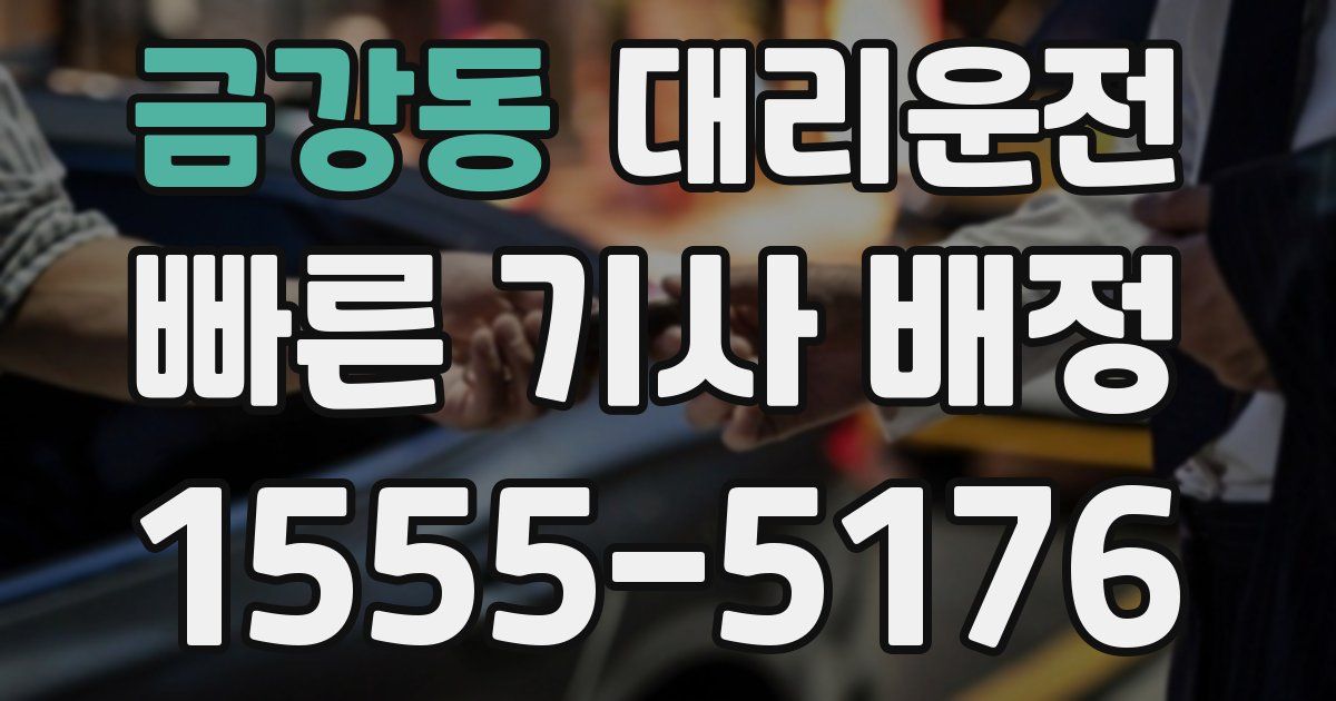 일일대리기사