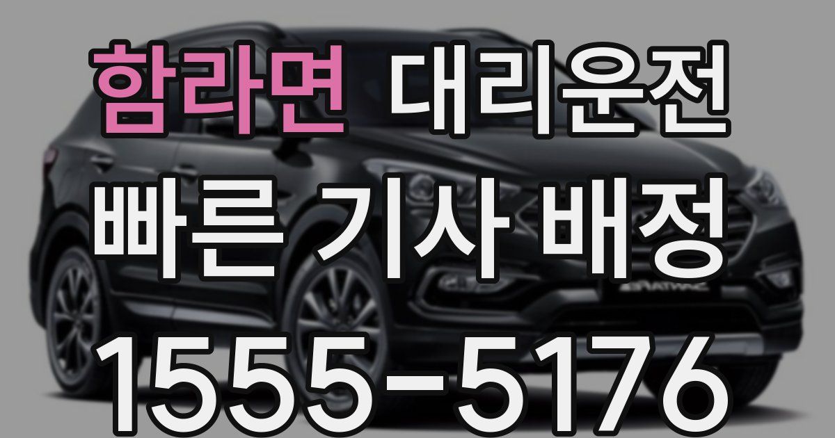 일일대리기사