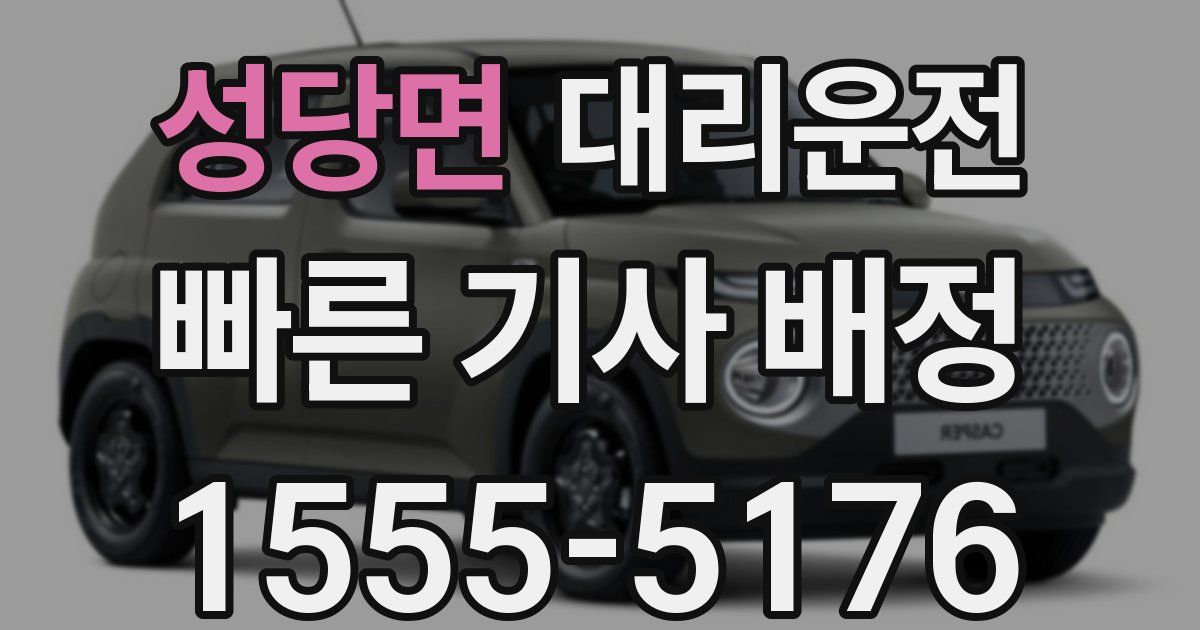 일일대리기사