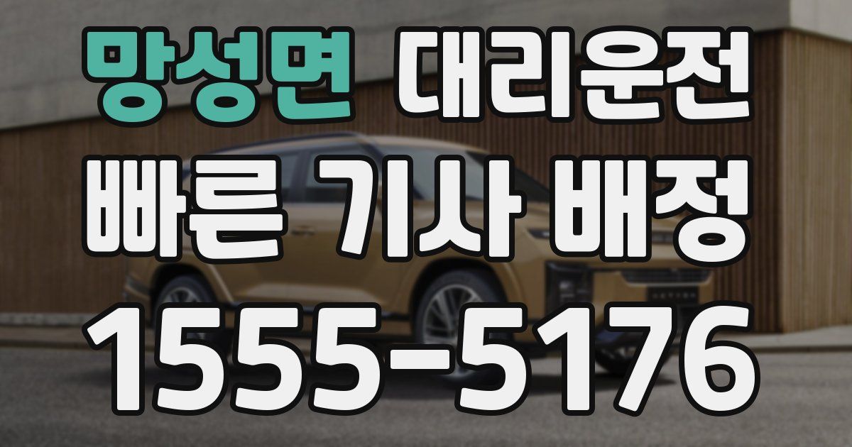 일일대리기사