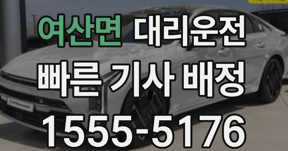 일일대리기사