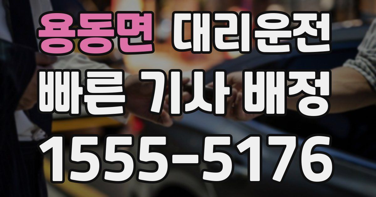 일일대리기사