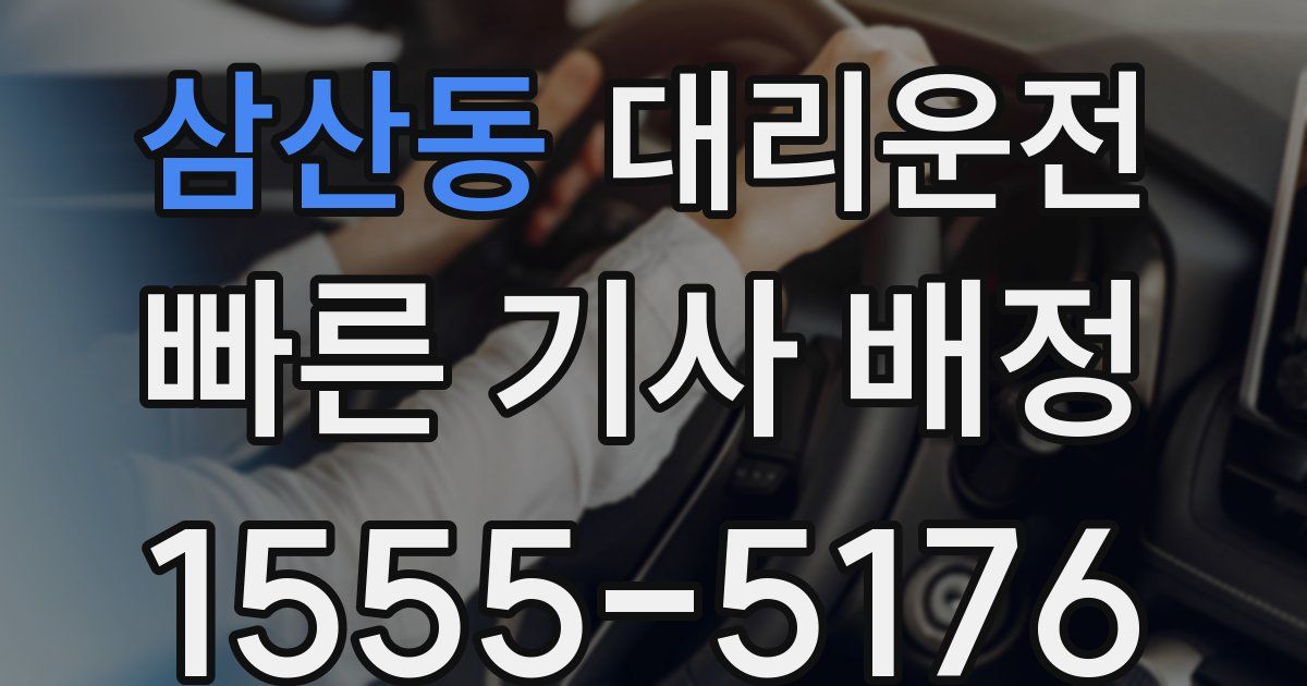 일일대리기사