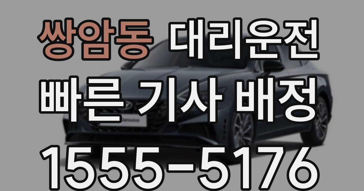 일일대리기사