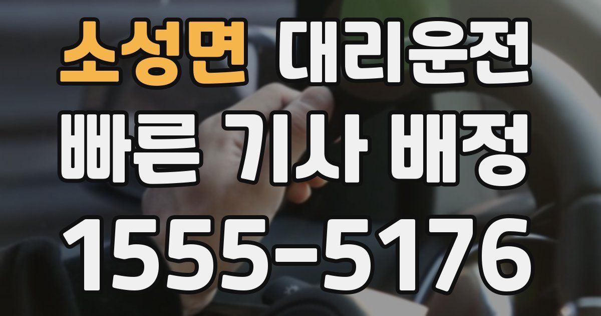 일일대리기사