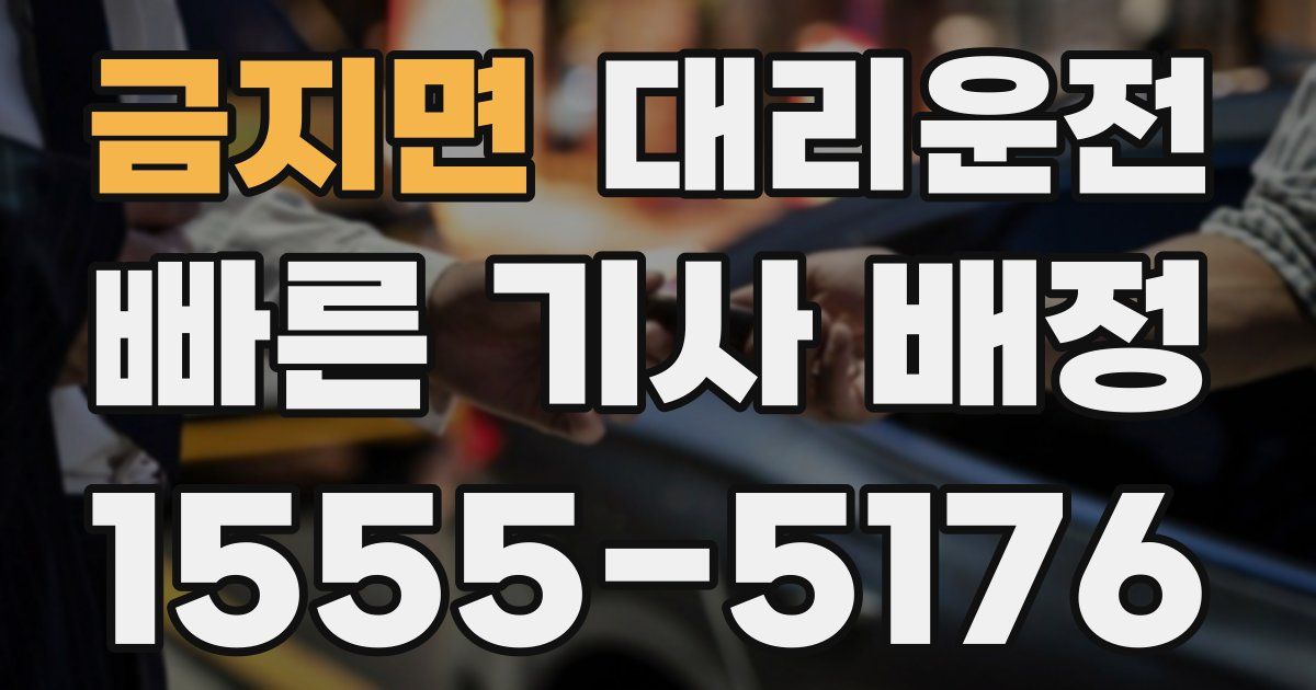 일일대리기사