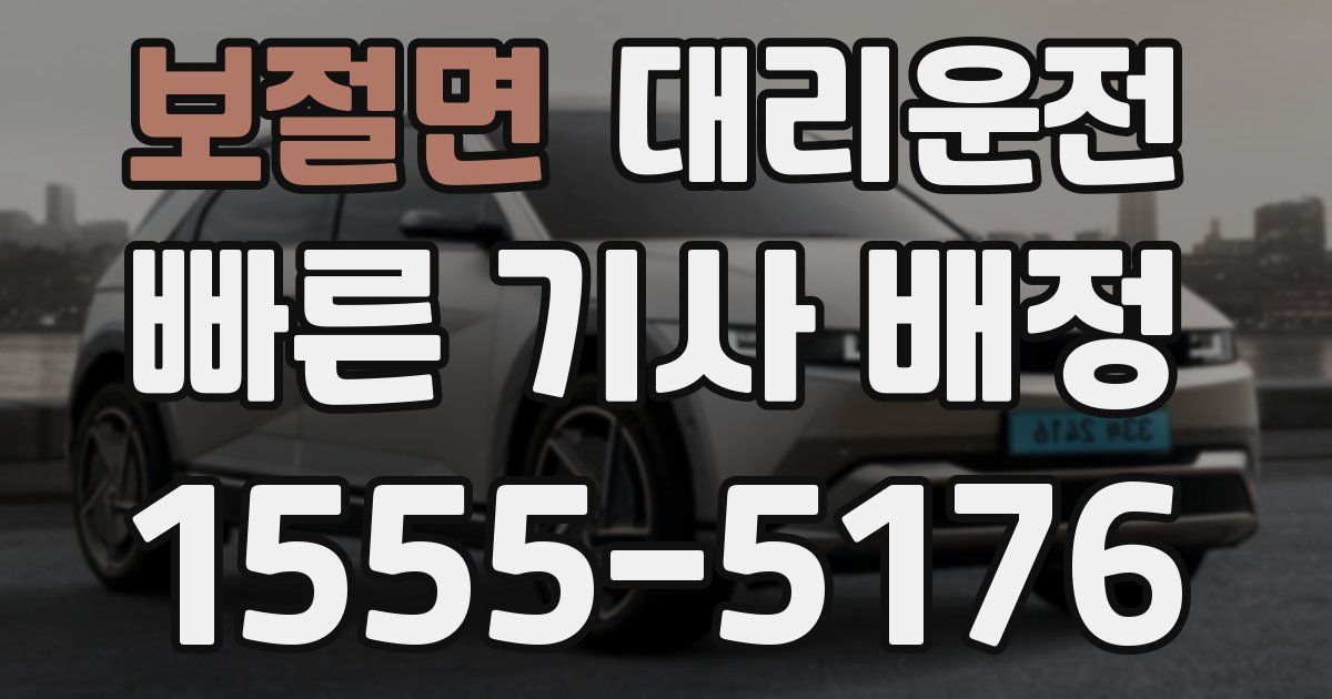 일일대리기사