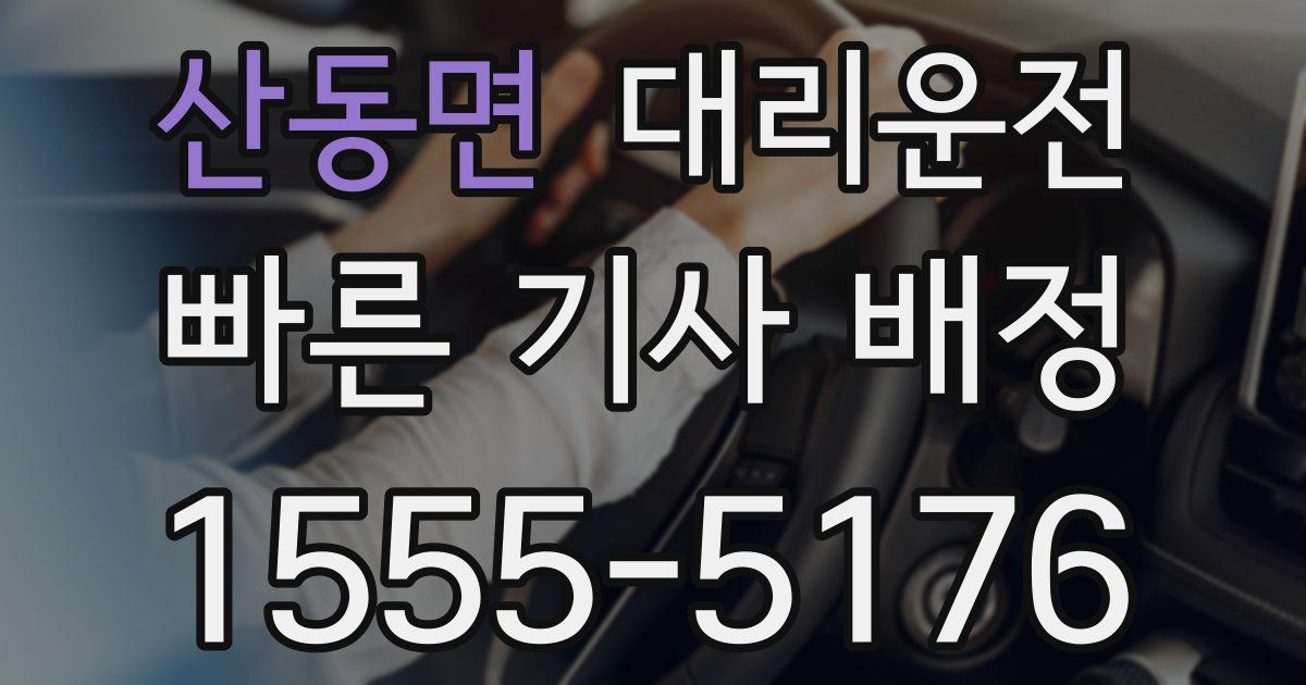 일일대리기사