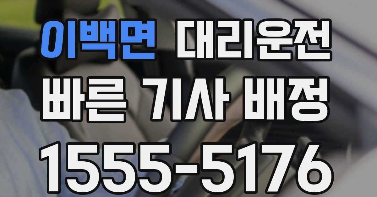 일일대리기사