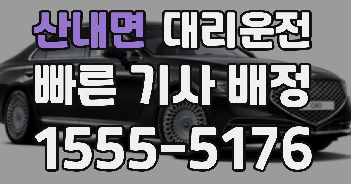 일일대리기사
