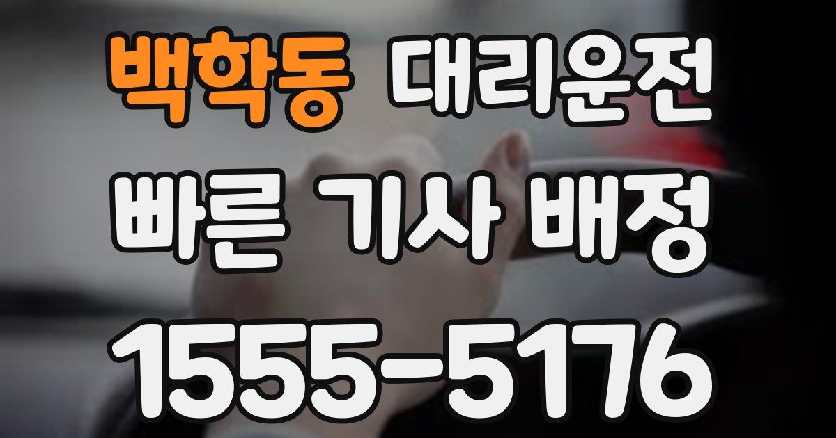 일일대리기사