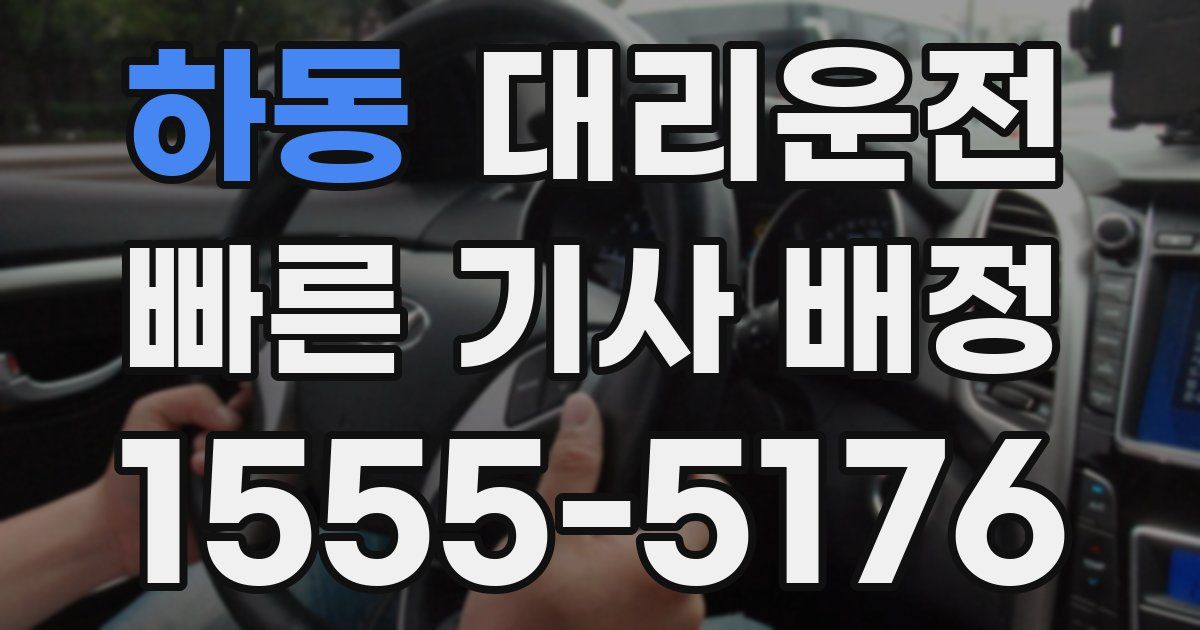 일일대리기사