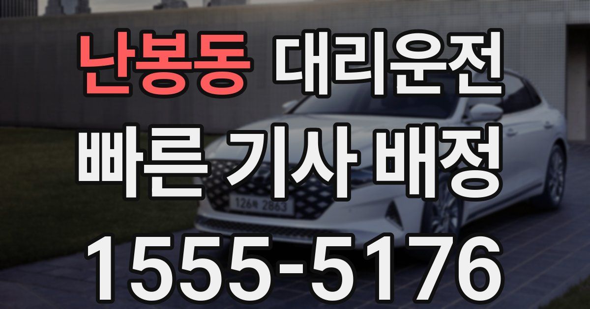 일일대리기사
