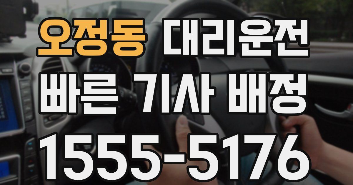 일일대리기사