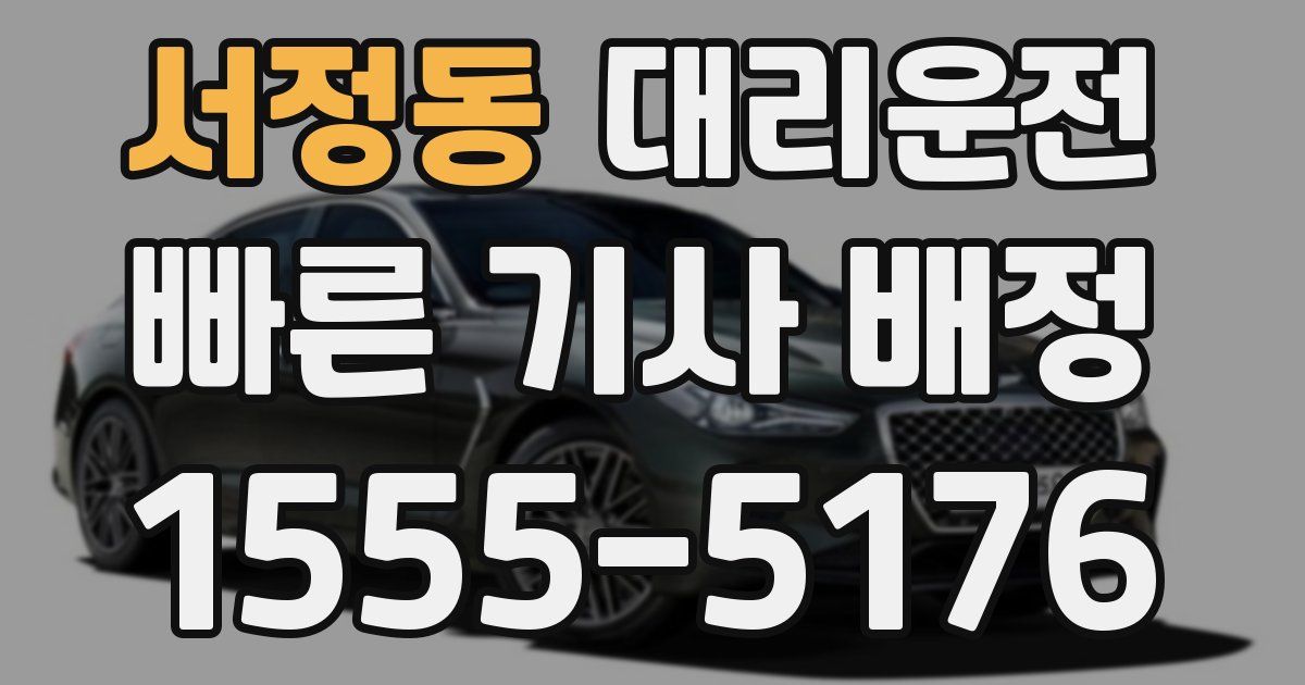 일일대리기사