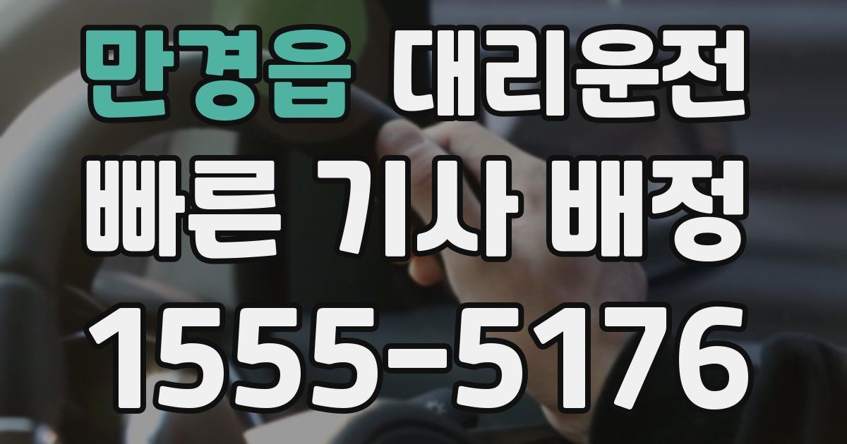 일일대리기사