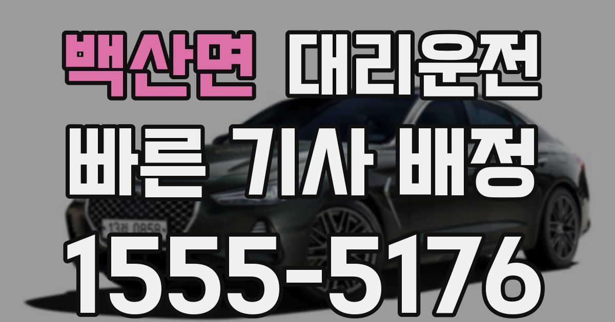 일일대리기사