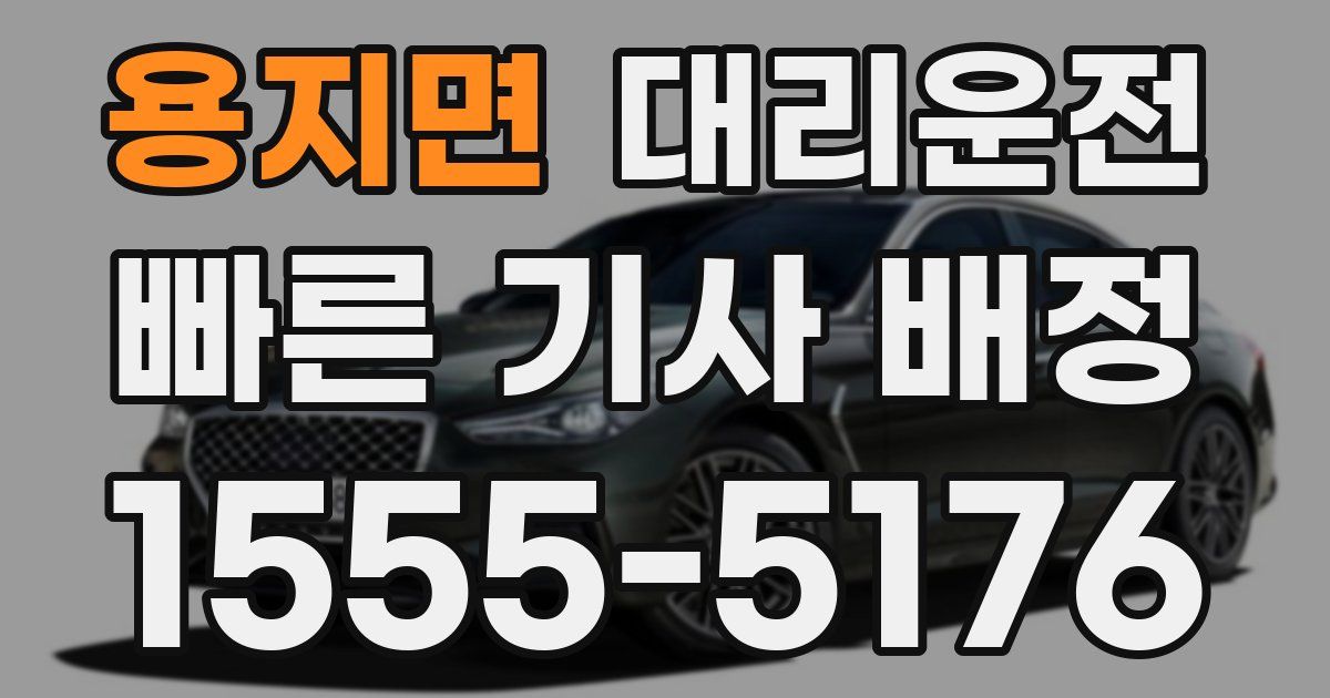 일일대리기사
